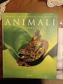 Libri/Fumetti per ragazzi/adulti (tutte le età) 