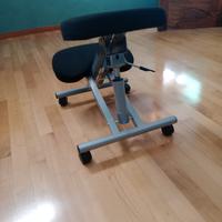 sedia ergonomica da computer