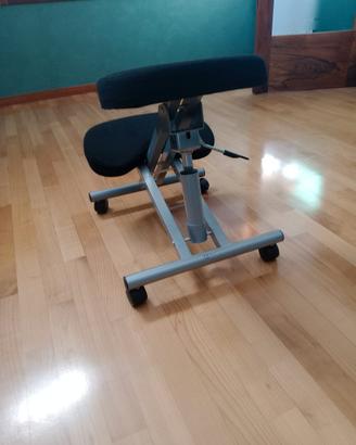 sedia ergonomica da computer