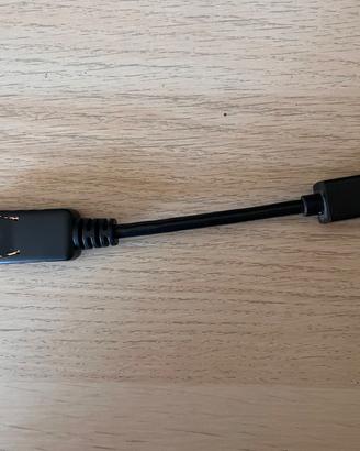 Adattatore Video Display Port - Mini Display