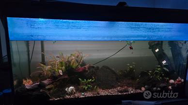 acquario 200 litri completo filtro lampada grow