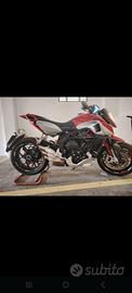 MV AGUSTA RIVALE 800