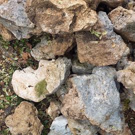 rocce ornamentali da giardino
