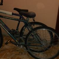 Coppia di biciclette