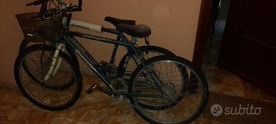 Coppia di biciclette