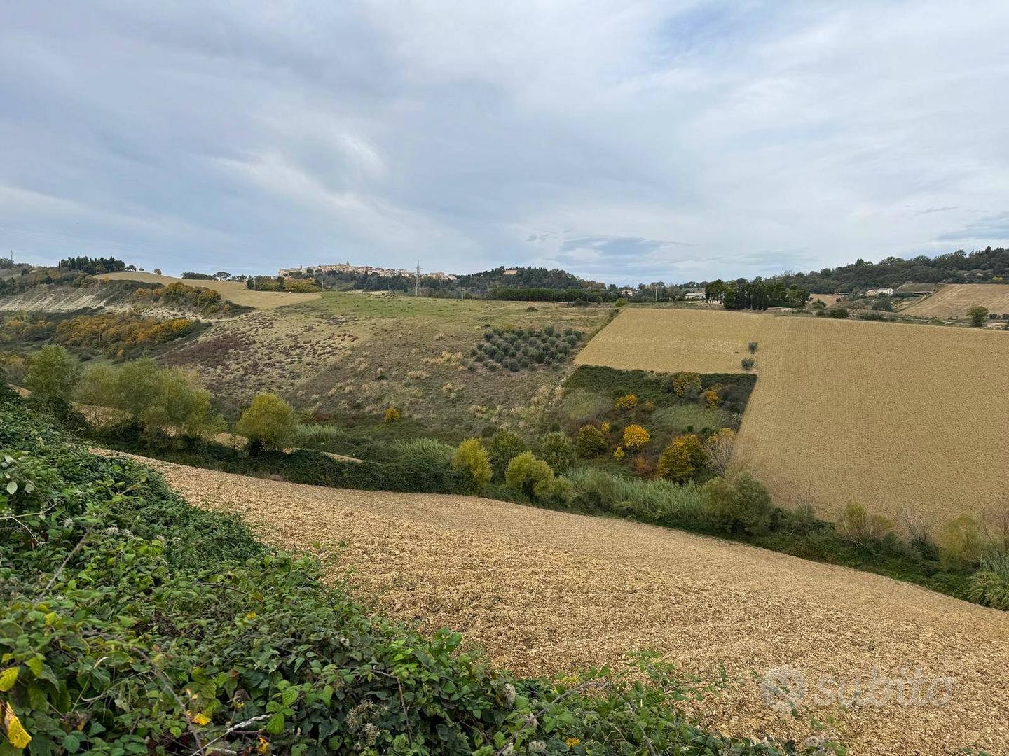 Terreno - Altidona - Altro