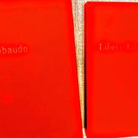 Libri e Librini