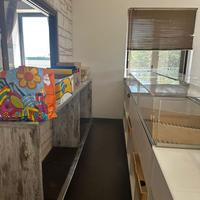 Cessione attivita’