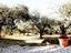 Immagine 28