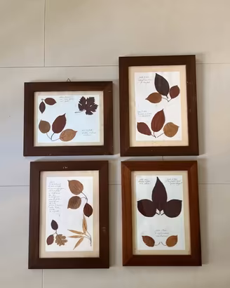 Quadretti con foglie secche e pensieri poetici.
