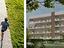 Immagine 6