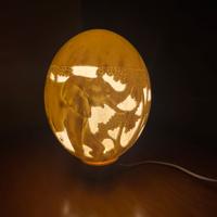 Uovo di struzzo con lampadina