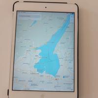 Apple Ipad mini2