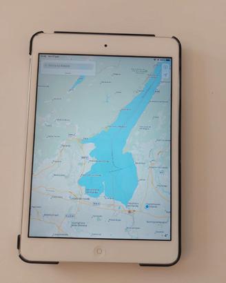 Apple Ipad mini2
