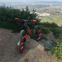 FAT BIKE SALSA BEARGREASE CARBON