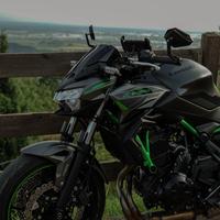 Kawasaki z650 2024 a2
