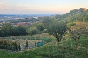 Appezzamento di terreno