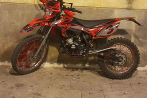 Beta rr 50 2019