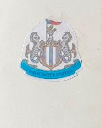 Squadra Subbuteo lw Newcastle United 2nd away.