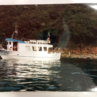 Barca a motore con gommone