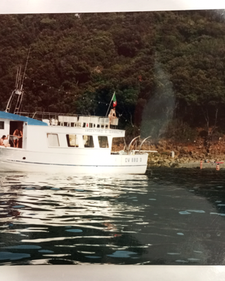 Barca a motore con gommone