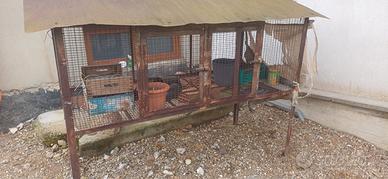 gabbia  per conigli/ galline