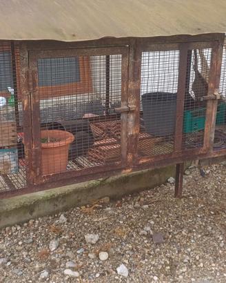 gabbia  per conigli/ galline