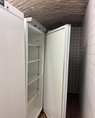 Frigorifero professionale Cool Head 600L