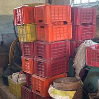 Casse per vendemmia o frutta e verdura