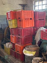 Casse per vendemmia o frutta e verdura