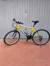 mountain bike Schiano 26 