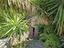 Immagine 24