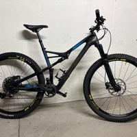 Specialized FSR Camber