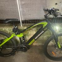 Bici elettrica Argento Performance Pro