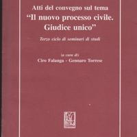 Atti del convegno sul tema "Il nuovo processo civi