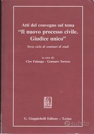 Atti del convegno sul tema "Il nuovo processo civi