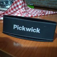 custodia occhiali Pickwick