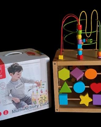Cubo multi attività 
