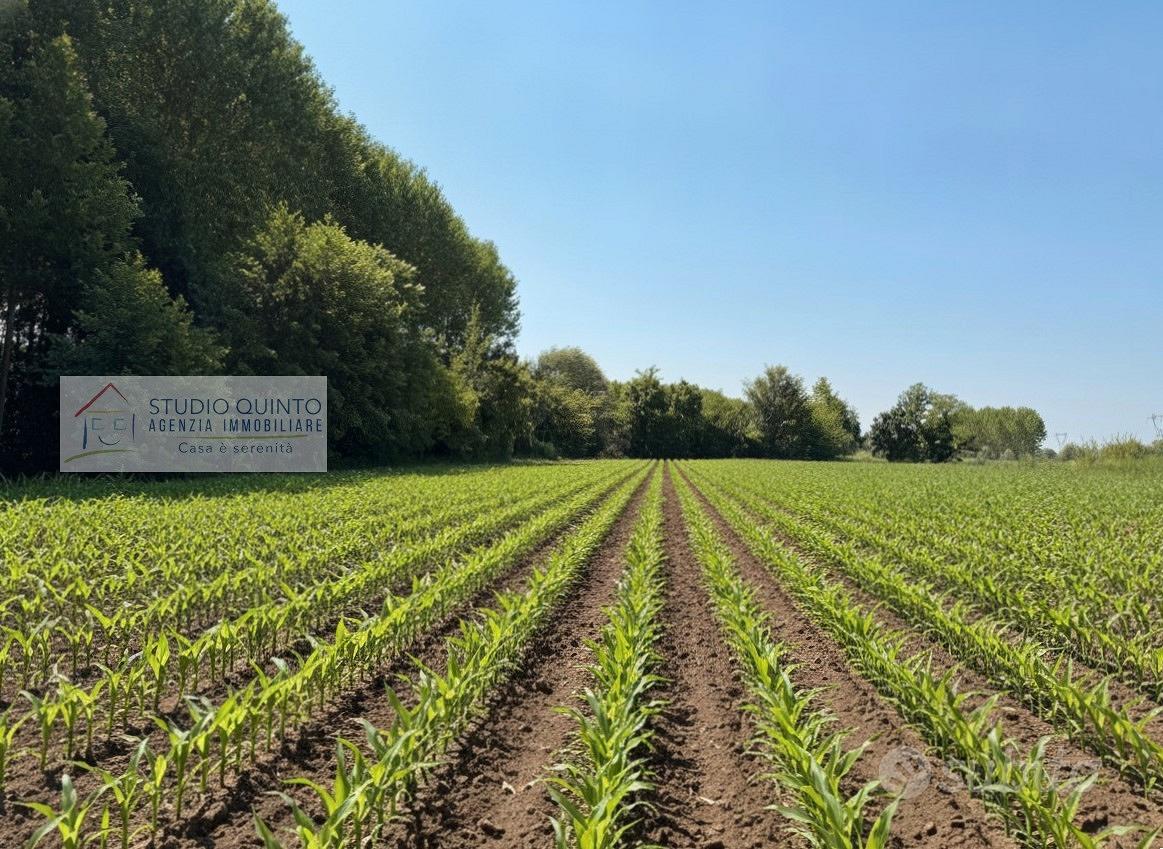 Terreno agricolo di mq. 4520 ca - Vista 4