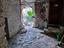 Immagine 5