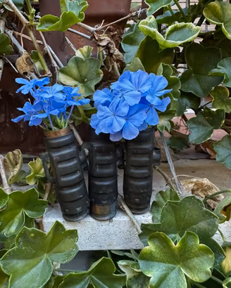 Porta fiori 151/20 ww2 ww1
