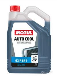 Motul Antigelo