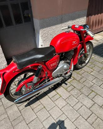 Guzzi Lodola