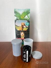 Rullino Lomography Color Negative 800 x2