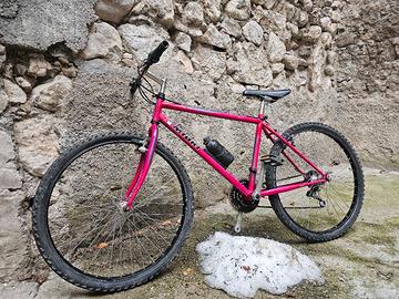 Mtb Miori anni '90