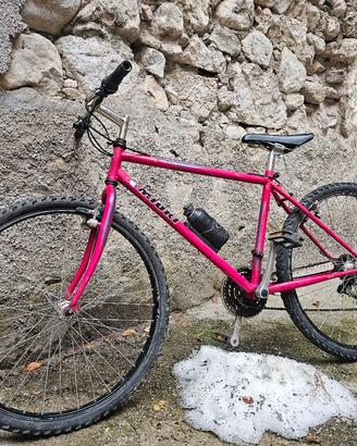 Mtb Miori anni '90