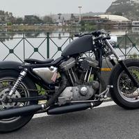 Harley Davidson 883 LOW