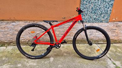 Wheelie bike 29 pollici con pegs