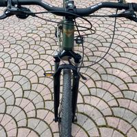 Bicicletta da strada city bike Bottecchia verde