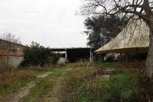 Immobile in asta di 7213 m² a Robbio